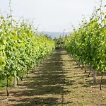 Semesterpark Quinta Da Marinhela - Douro Valley By Rural Escape *