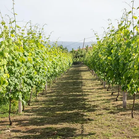 Ferienpark Quinta Da Marinhela - Douro Valley By Rural Escape *