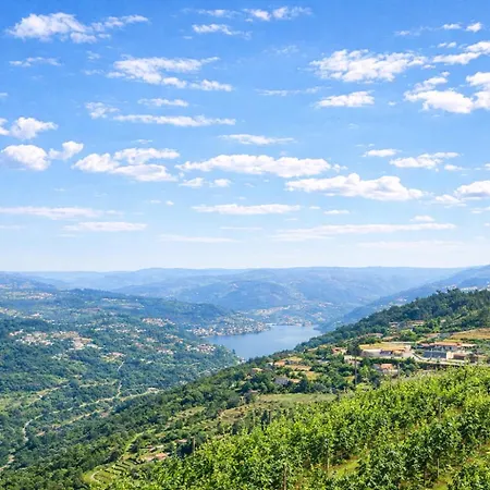 Quinta Da Marinhela - Douro Valley By Rural Escape * Marco de Canavezes