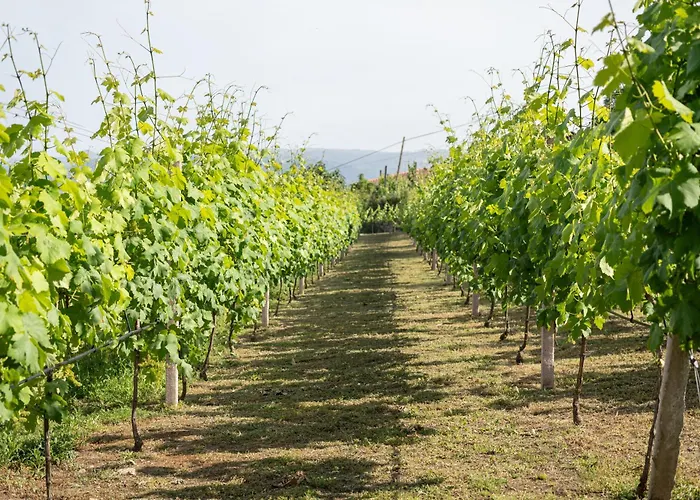 Holiday park Quinta Da Marinhela - Douro Valley By Rural Escape *