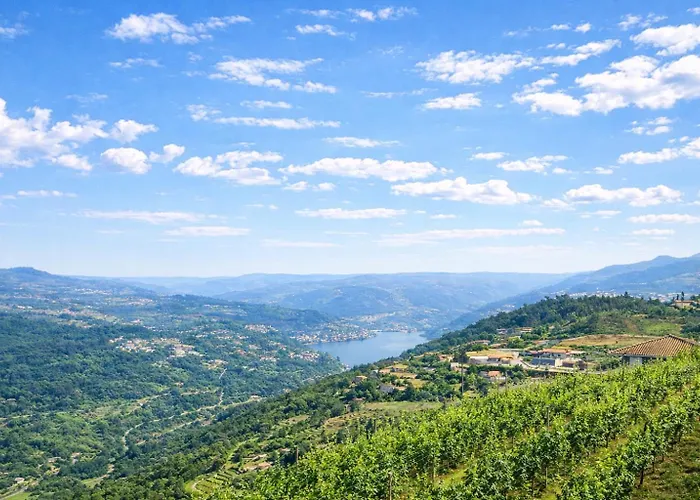 Quinta Da Marinhela - Douro Valley By Rural Escape * Marco de Canavezes
